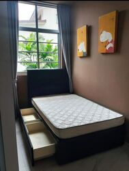 Jalan Binjai (D15), Shop House #504273241